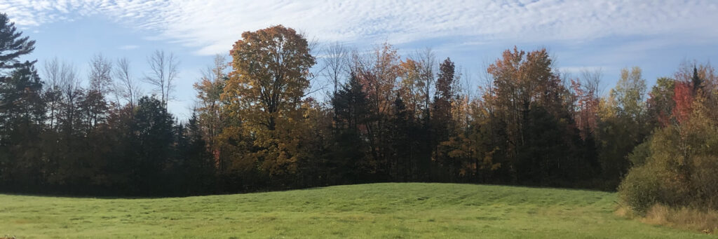 Housing development in Farmingdale, Maine.